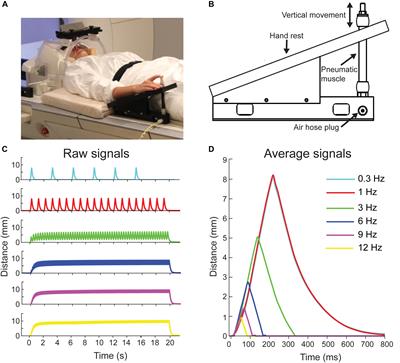 Optimization of Proprioceptive Stimulation Frequency and Movement Range for fMRI